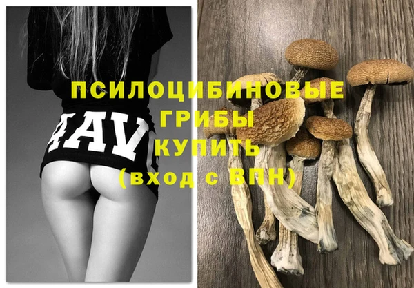 Альфа ПВП Валдай